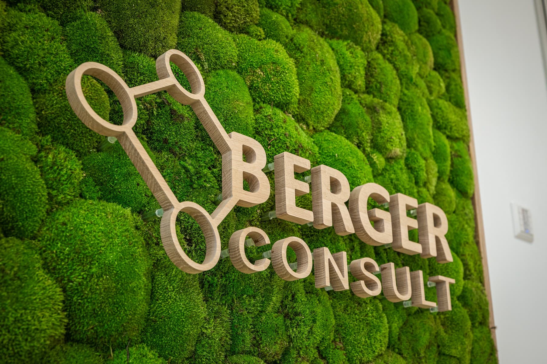 berger-solutions · Frame 01