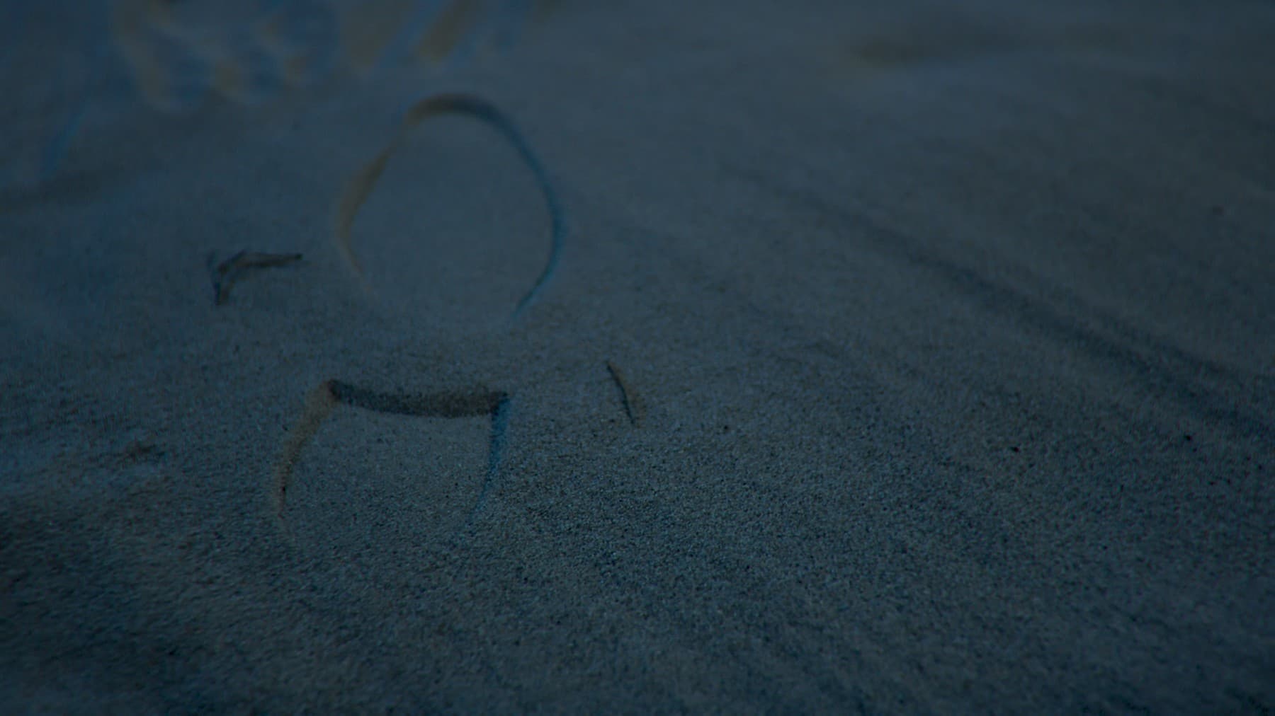 RED LINE Studio · Frame 9